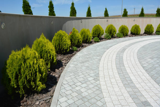 Reasons to Select Us for Your Driveway Paving Requirements in Aurora, CO